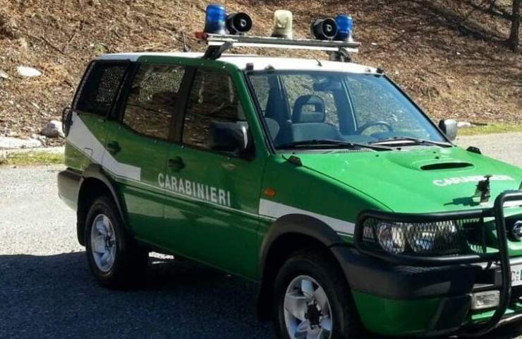 la denuncia ai Carabinieri della Forestale